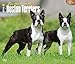 Boston Terriers, For the Love of 2016 Deluxe