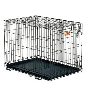 Midwest 1624 24-By-18-By-21-Inch Life Stages Single-Door Pet Crate