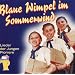 Blaue Wimpel im Sommerwind