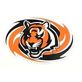 Cincinnati Bengals Car Magnet (11.5"x8")