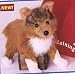 Plush Sheba Collie 16