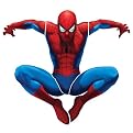 Spider-Man Giant Peel-and-Stick Appliqué