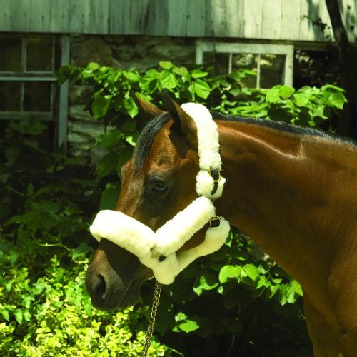 Perri's Leather Sheepskin Shipping Halter