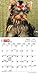 Yorkshire Terrier Puppies 2016 Calendar