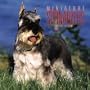 Miniature Schnauzers 2005 Wall Calendar