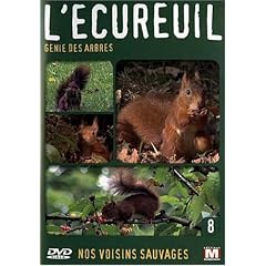 Nos voisins sauvages : L'�cureuil : G�nie des arbres