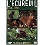 Nos voisins sauvages : L'�cureuil : G�nie des arbr&hellip <b>DVD</b> ~ Robert Luqu�s