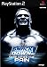 WWE SmackDown! Here Comes the Pain (PS2)