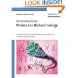 An Introduction to Molecular Biotechnology: Molecular Fundamentals, Methods and Applications in Modern Biotechnology by Michael Wink