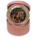 Limited Edition Violano Jewelry Case Travel Alarm Clock Mare and Foal
