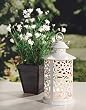 White Lattice Lantern