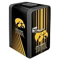 University of Iowa Portable Party Fridge - .5 cu. ft.