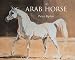 The Arab Horse
