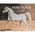 The Arab Horse