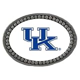 Kentucky Wildcats NCAA Team Logo Pewter Lapel Pin