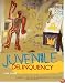 Juvenile Delinquency: The Core