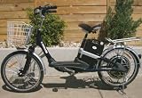 R Martin G1 electric bike