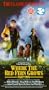 Where the Red Fern Grows II [VHS]