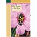 The Keeper of the Bees (Library of Indiana Classics)