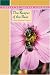 The Keeper of the Bees (Library of Indiana Classics)