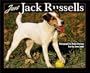 Just Jack Russells (Just Pets)