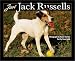 Book Just Jack Russells (Just Pets)