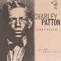 Pony Blues: His 23 Greatest Songs