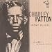 Pony Blues: His 23 Greatest Songs