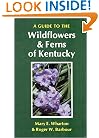 A Guide to the Wildflowers and Ferns of Kentucky (Kentucky Nature Studies)