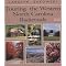 Southern Appalachian Gems