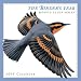Sibley: The Birder's Year 2005 Calendar