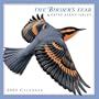 Sibley: The Birder's Year 2005 Calendar