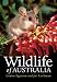 Wildlife of Australia
