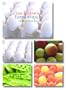 Barefoot Contessa Farm Stand Note Cards in a Two-Piece Box (Potter Style)