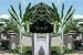 10 Ensete Glaucum Snow Banana Seeds