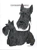 Scottish Terrier - Double Image by Cindy Farmer