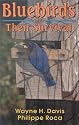 Bluebirds And Their Survival