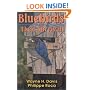 Bluebirds And Their Survival