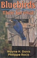 Bluebirds And Their Survival
