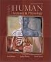 Hole's Human Anatomy & Physiology