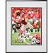 Photo File Kansas City Chiefs Dwayne Bowe Framed Photo