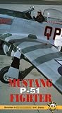 Mustang P-51 Fighter