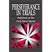Perseverance in Trials: Reflections on Job