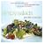 Simply Salads: More than 100 Delicious Creative Recipes Made from Prepackaged Greens and a Few Easy-to-Find Ingredients