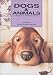 ハッピーポストカード DOGS&ANIMALS
