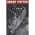 Harry Potter and the Goblet of Fire (Book 4): Adult Edition