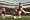 FIFA 07 (PS2)