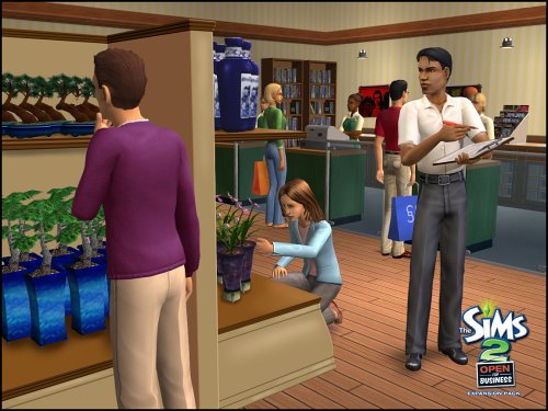The Sims 2: Open for Business Expansion Pack image