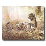 Tropical Cheetah Cat Family Animal Wildlife Picture Art Print