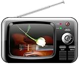 iView 368PTV
